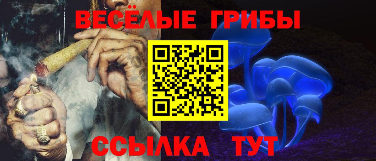 Галлюциногенные грибы Psilocybine cubensis  Псилоцибиновые грибы ЛСД  Вход с VPN  Югорск 